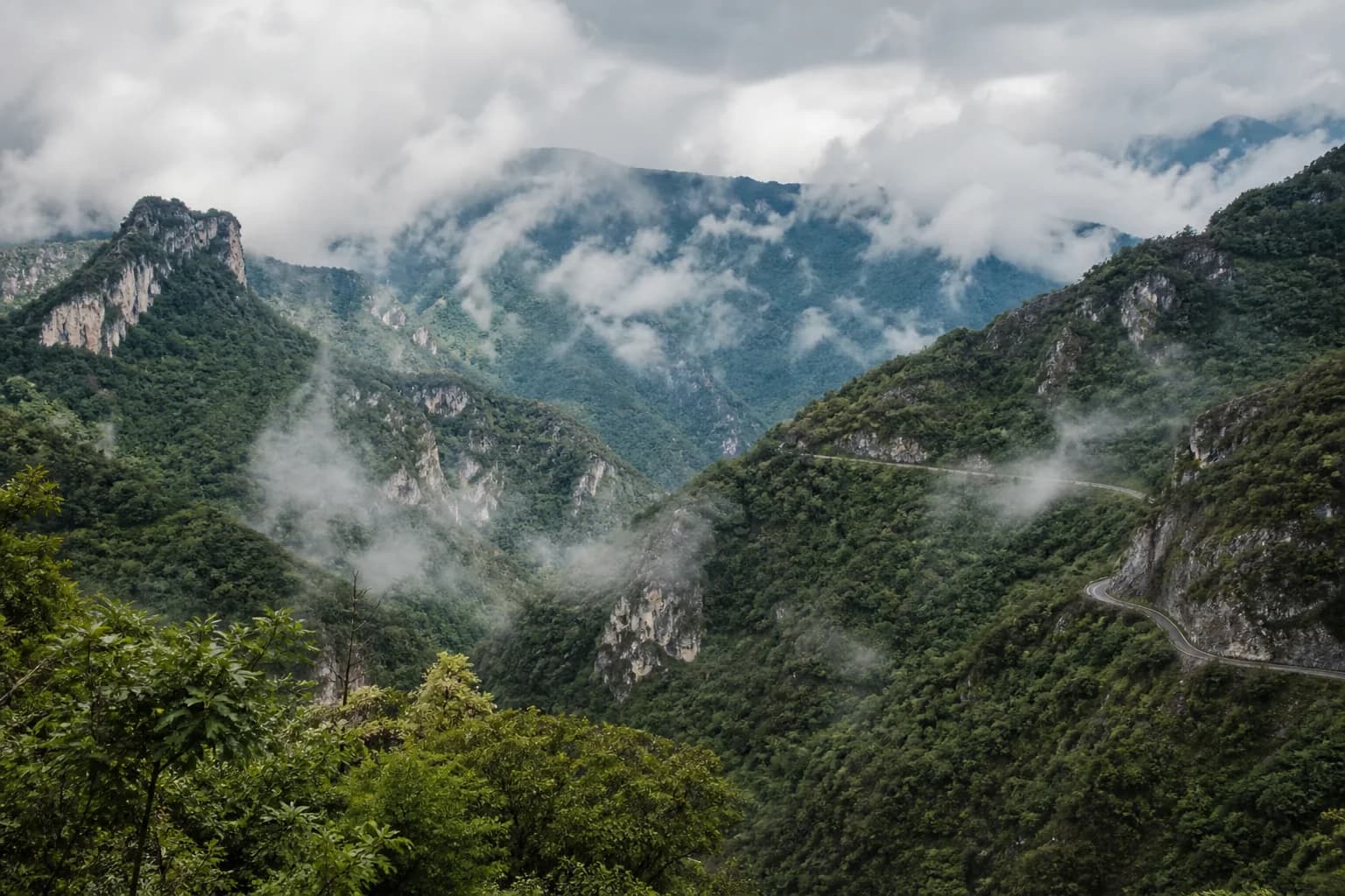 Montañas verdes y neblina en la Sierra Gorda de Querétaro